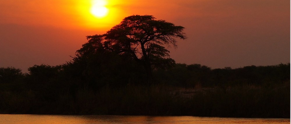 Kenya: Foreign Minister arrested