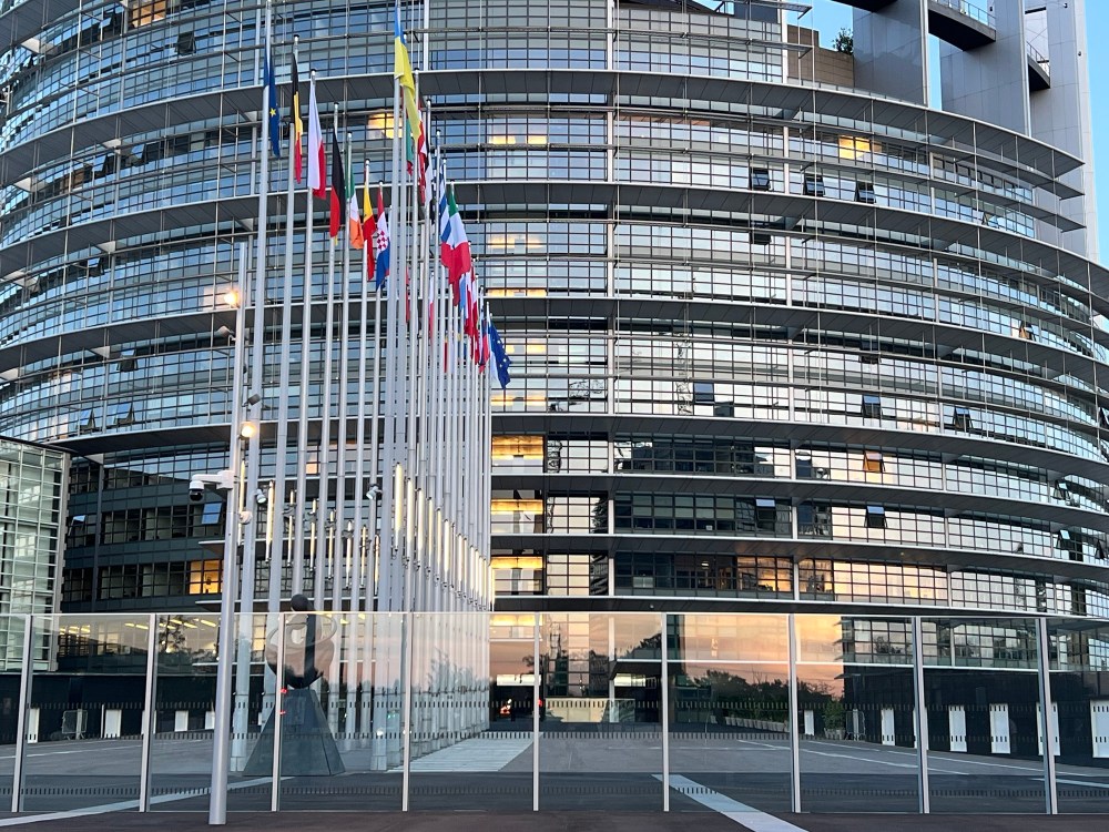 CAR: MEPs stand for Human Rights
